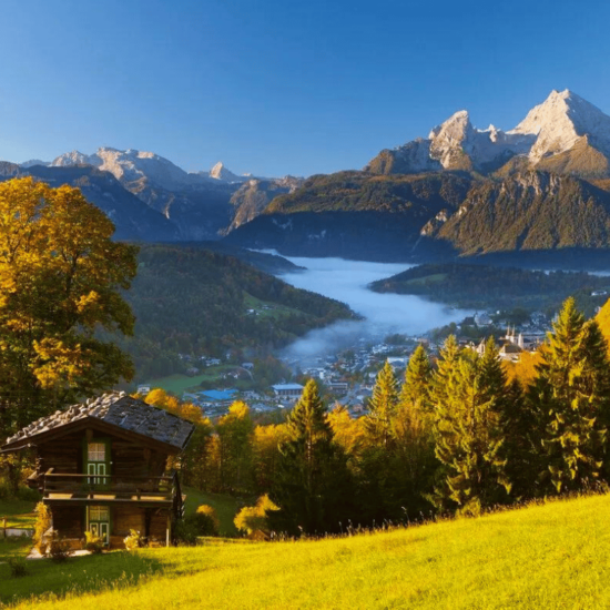 European Horizon Contiki 5